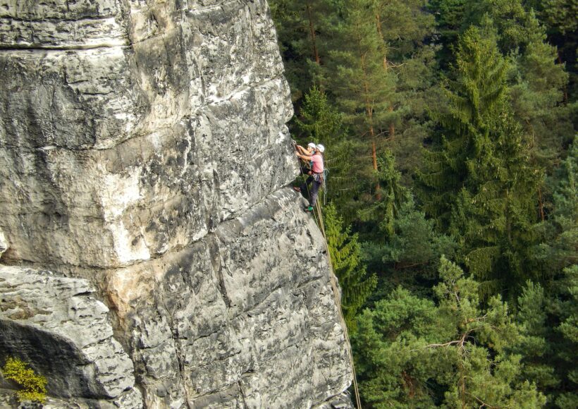 2025_12_22_Image by Dieter from Pixabay